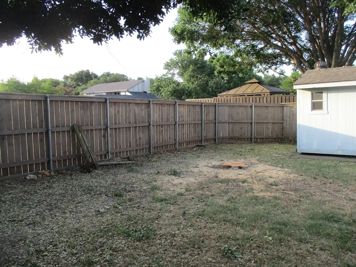 Cleared yard after professional tree removal in Sierra Blanca